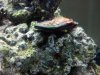 2013-03-13_12-47-57_560.jpg