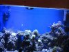 IMG_2417.jpg