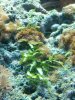 IMG_20130318_144236_059.jpg
