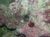20130319_081822.jpg