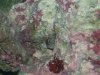 20130319_082016.jpg