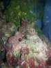 20130319_081737_640x480.jpg