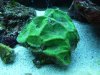 Photo from 23_03_2013.jpg