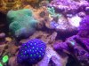 photo 7.jpg