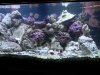 DSCN1183.JPG