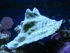 DSCN1190.JPG