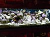 DSCN1197.JPG