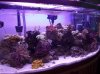 clear72 003.jpg