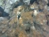 2013-03-27_15_55_02.jpg