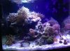 29g whole.jpg