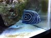 20130321_182942.jpg