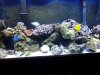 20130331_202755.jpg