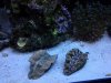 20130331_202658.jpg