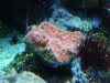 Photo from 06_04_2013.jpg