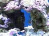 DSCN1378.JPG
