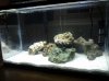 20130408_123857.jpg