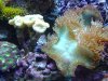 20130408_163450.jpg