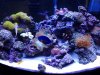 20130408_162649.jpg