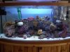 newtank 004.jpg