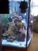 newtank 006.jpg