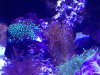 IMG_0722.jpg