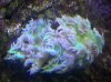 20130415_182835.jpg