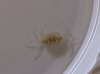 IMG-20130415-00314.jpg