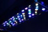 DSC_0615 (600x397).jpg