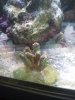 IMG_20130420_140550.jpg