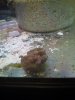 IMG_20130420_140557.jpg