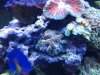 20130421_160607.jpg