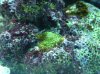 Photo from 20_04_2013.jpg
