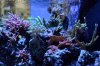 matt-tank-april-2013a.jpg