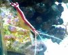 MyPicture-1.jpg