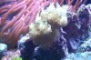 100_0811.JPG