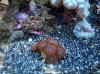DSC00876.JPG
