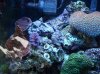 DSC00877.JPG