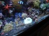 DSC00878.JPG