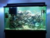 DSCN0263.jpg