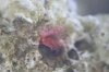 aquarium pic2.jpg