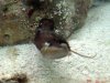 under-rock-3.jpg