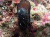 under-rock-4.jpg