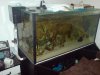 Dsc03033.jpg