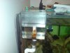 Dsc03032.jpg