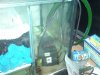 Dsc03028.jpg