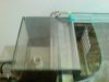 Dsc03025.jpg