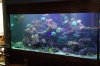 220 reef 3.jpg