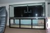 440 Reef Build 1.jpg
