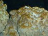 DSC00157.jpg