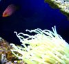 new additions 053_1_1.jpg